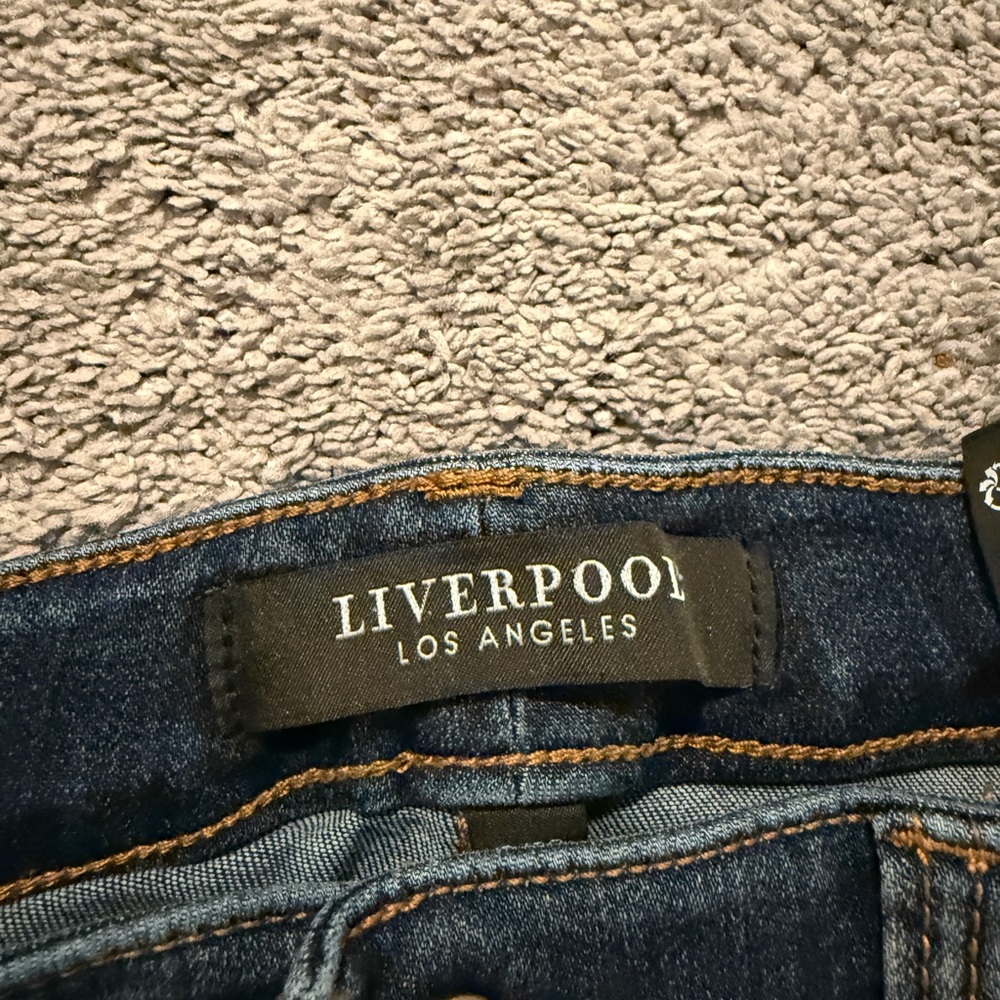Liverpool Abby Skinny Skinny Jeans Size 8/29 Victory Dark Wash Stretch - Picture 3 of 16